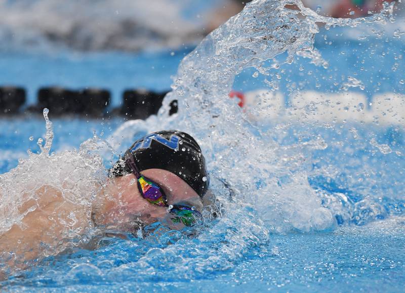 St. Charles North’s Tessalina Stavropoulo swims the 200-yard freestyle during the girls state swimming preliminaries at the FMC Natatorium on Friday, Nov. 14, 2025 in Westmont.