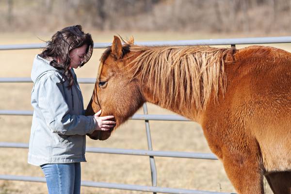 Mistreated horse gets new life thanks to Dixon teen