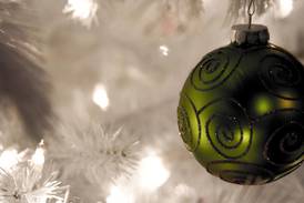 Celebrate the holidays at Downers Grove Park District’s Candy Cane Lane
