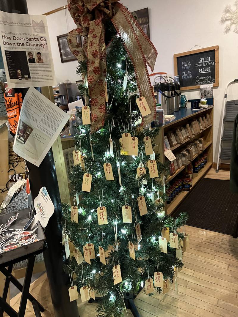 Lutheran Social Services and the patrons of Books on First in Dixon over the past few years have teamed up for the Books for Babes campaign to provide at-risk children the gift of reading. There are still many names to be selected on the Christmas tree. Go to Books on First, 202 W. First St., by 6 p.m. Thursday, Dec. 14, 2023, to select a name and purchase a book.