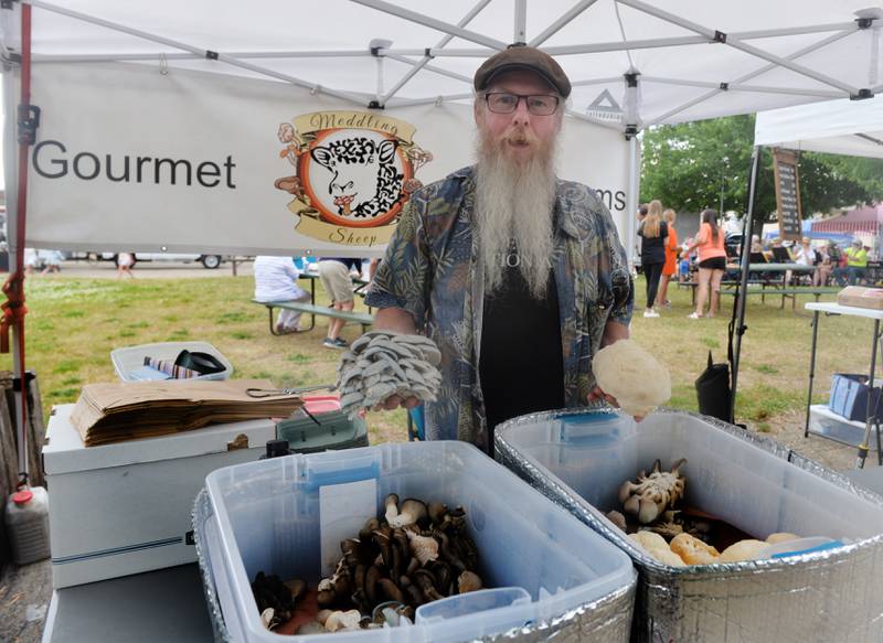 WIlliam Thomas of Amboy shows two of his gourmet mushrooms - Blue Smoke Oyster and Lion's Mane – at the River’s Edge Farmers Market in Oregon. The market is held each Thursday from 5-7:30 p.m.  at 123 N. Second Street, just north of the Oregon fire station. The event includes vendor booths, live music, and food trucks.