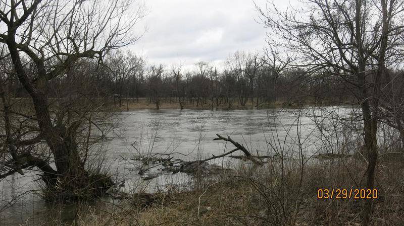 A Lombard couple swam to safety Sunday afternoon after their canoe tipped in the Des Plaines River in Riverside. Photo provided