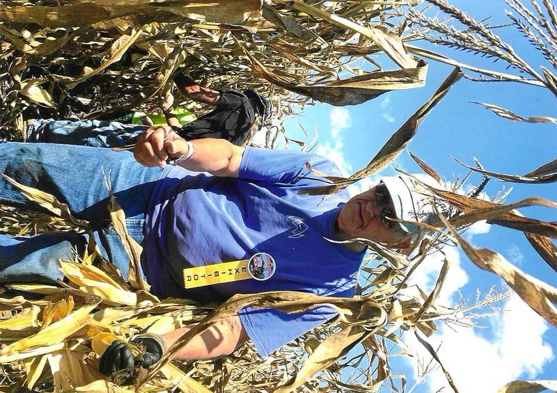 Holcomb and Ogle County’s Dewayne Adams placed fifth in his division at the National Corn Husking Contest in Nappannee, Indiana on Saturday, Oct. 18, 2025. At age 90, he was the oldest competitor at the event.