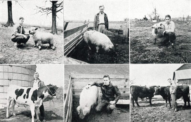 Members exhibit with their ag projects in the 1940s. These are all senior projects required for graduations.