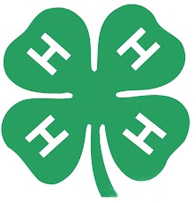 4H logo