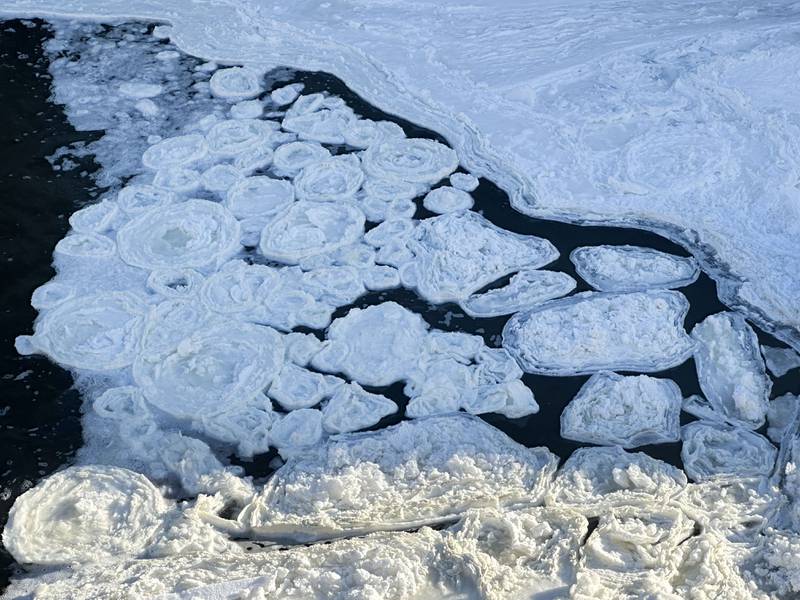 Pancake ice forms along Lock 11 on the Hennepin Canal on Wednesday, Jan. 28, 2026 near Tiskilwa. Pancake ice is a relatively rare, phenomenon when ice or slush breaks into pieces that bump into each other, creating circular slabs.
