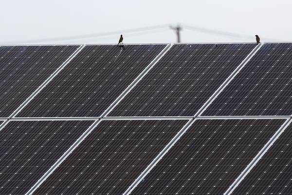 McHenry solar farm proposal nixed by Council, different location possible