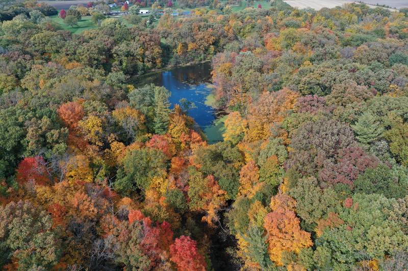 Fall colors begin to peak at Matthiessen State Park on Monday, Oct. 23, 2023.