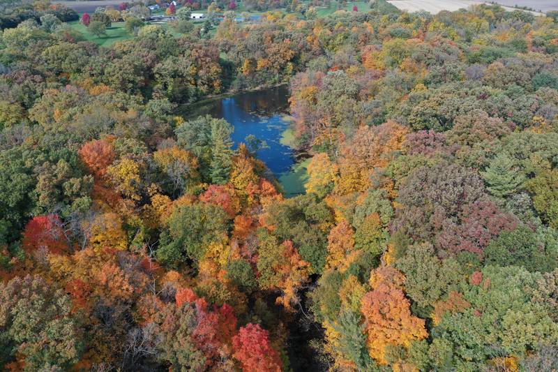 Fall colors begin to peak at Matthiessen State Park on Monday, Oct. 23, 2023.