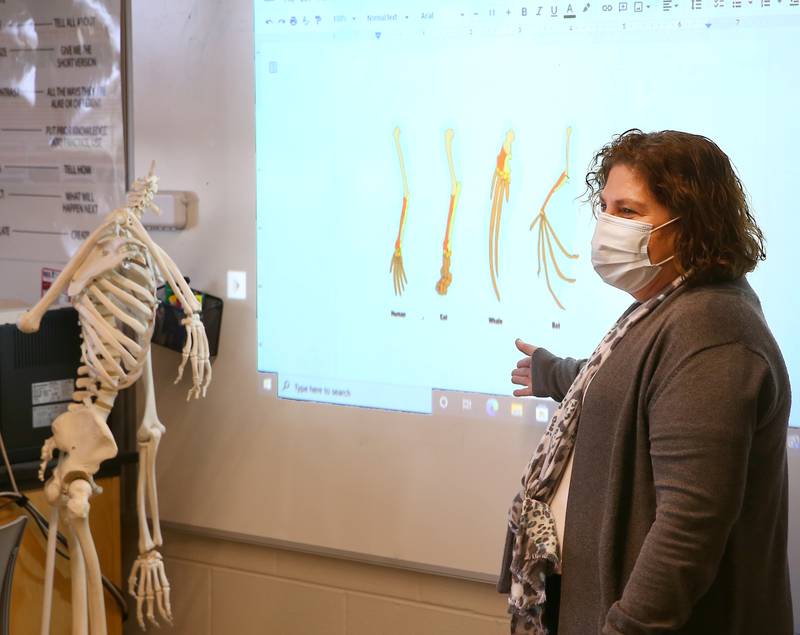 Mrs. Joanna McConville teaches bones to students in Science class at Hall High School on Thursday, April 7, 2022 in Spring Valley.