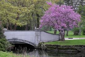 DeKalb Township to plant 250 trees in honor of the nation’s 250th anniversary