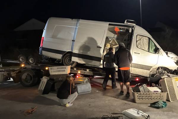 Geneva pet rescue van crashed in Indiana with 63 animals on board. Here’s how locals came to the rescue
