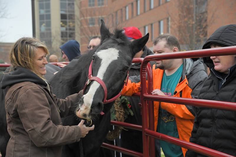 Margaret Gitter, owner of Mane Trail Stables, an equine-assisted therapy and learning center, interacts with Benedictine University students in Lisle.