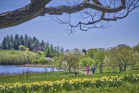 4 suburban outdoor destinations  to enjoy this weekend