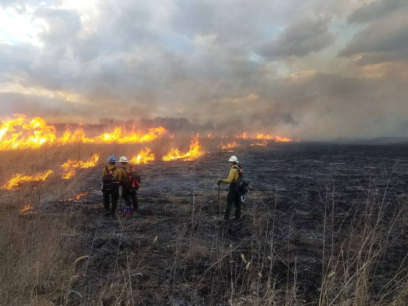 The USDA Forest Service will be conducting prescribed burns throughout Midewin National Tallgrass Prairie during the spring, between now and the beginning of May.