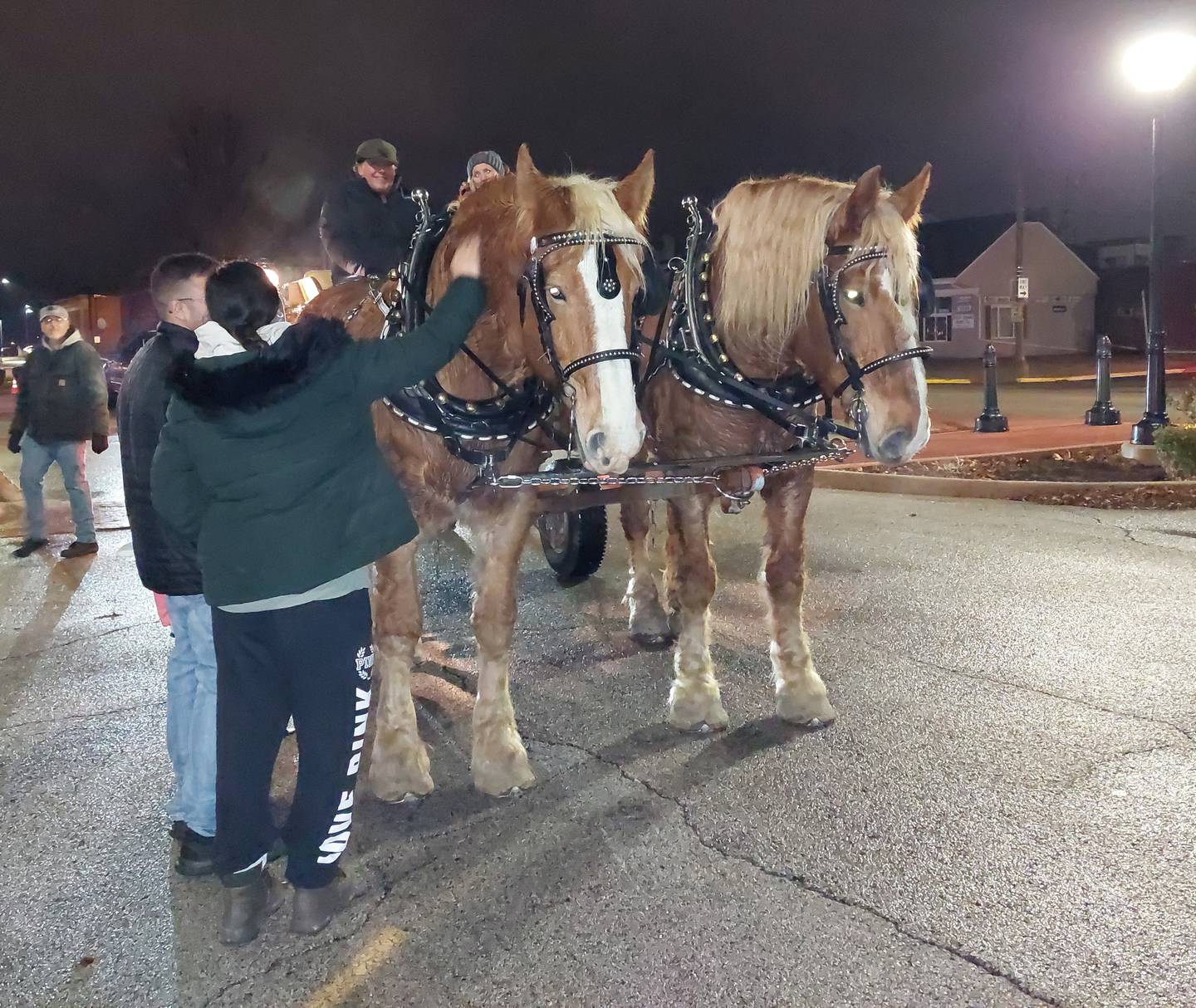 A horse drawn carriage provided visitors with rides Saturday, Dec. 16, 2023, around City Park during Light Up Streator's inaugural Christmas in the Park event.