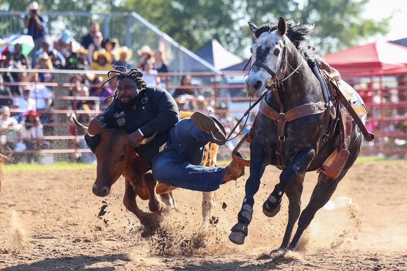 Robert Hughes, of Crete, takes down a steer in the steer wrestling competition during the 50th Pembroke Rodeo on Sunday, May 24, 2026. Hughes, a former NFL player, has been a lifelong rider and has been coming to the Pembroke Rodeo for 37 years.