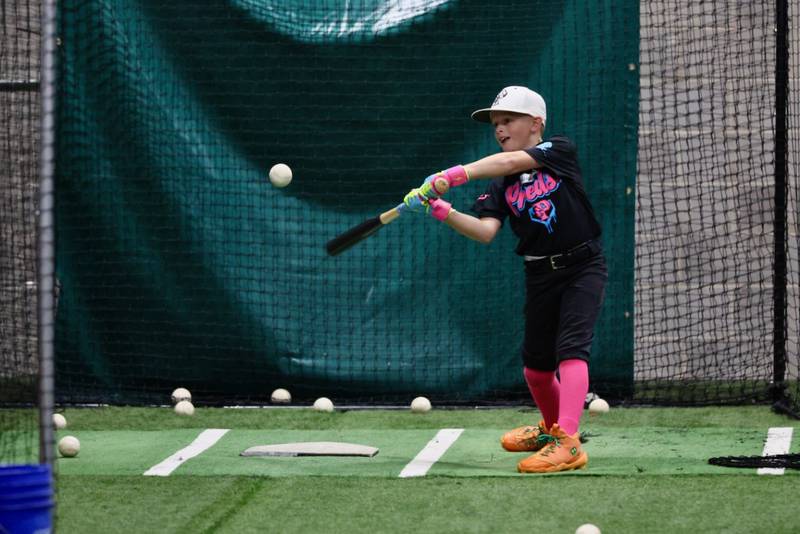 Tiger Baseball Camp