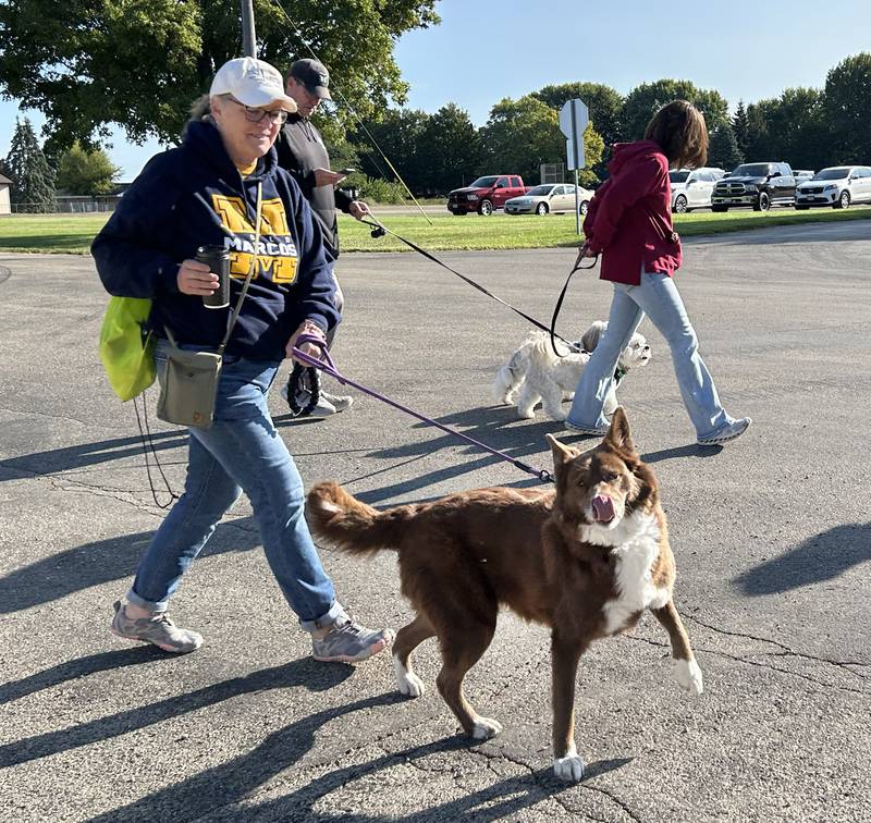 A pup and her walker start the 1-mile walk at Polo High School's Doggy Dash on Saturday, Sept. 6, 2025. The event raised money for a local animal shelter.