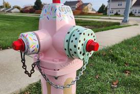City of DeKalb accepting Paint-A-Plug project applications