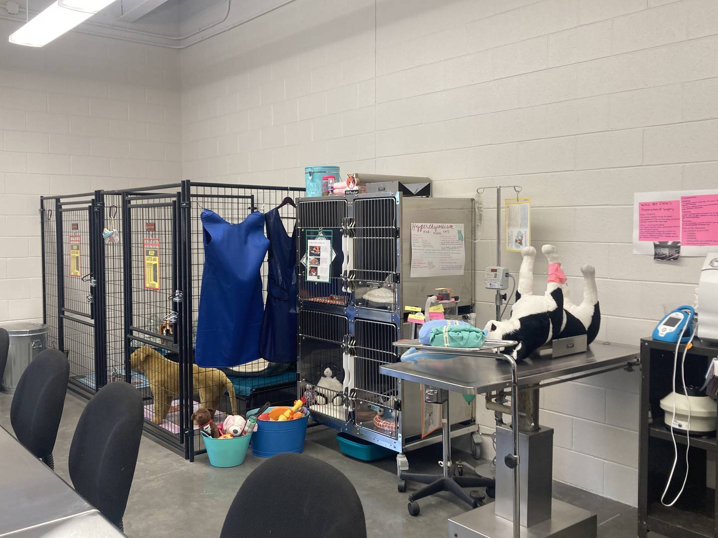 Boarding Kennels and examination table in new Veterinary Assistant Lab.