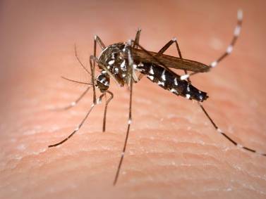 West Nile virus specimens confirmed in 17 Illinois counties