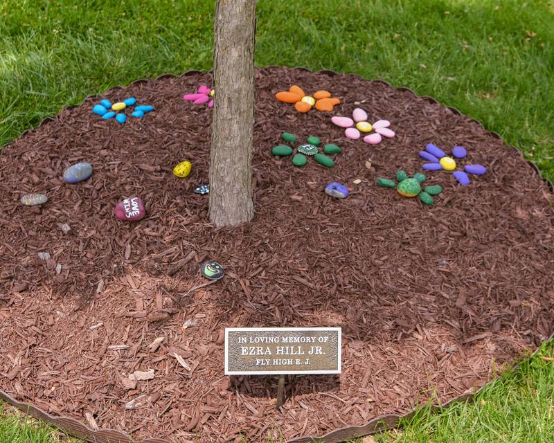 Painted rocks sit beneath a memorial tree at Tyler Elementary School in DeKalb on Saturday, June 7, 2025, during the Ezra Hill Jr. Memorial Foundation’s 5th annual rock painting event held at the school. The foundation was created to memorialize the late DeKalb boy, shot and killed in 2019.