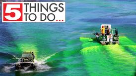 5 things to do in McHenry County: ShamROCKS the Fox, other Irish fun