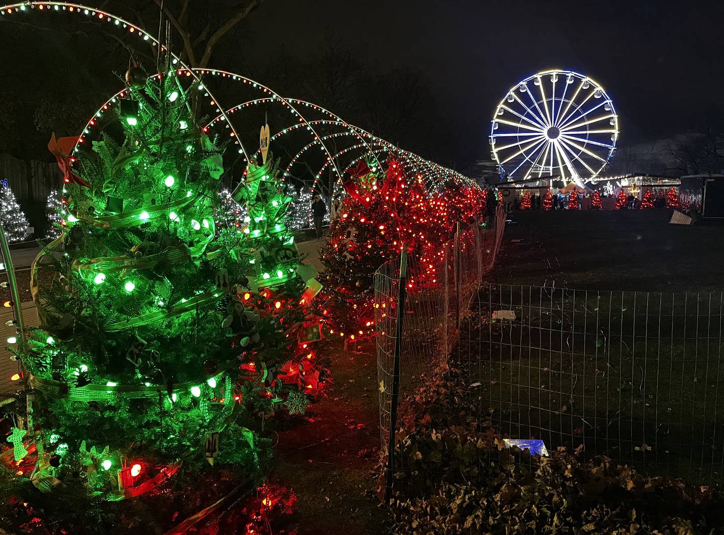 Holiday Magic at Brookfield Zoo runs through December 31, 2024.
