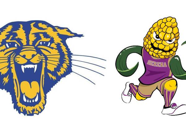 Somonauk/Leland/Newark advances past Serena: The Times Tuesday Roundup