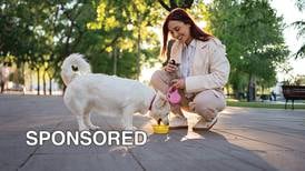 Protect Your Pet From Hot Pavement, Summer Heat