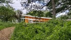 Illinois Extension offers free cyanotype workshop at Nell’s Woodland