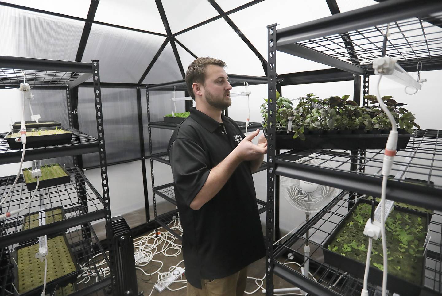 Nic Geudtner of Living Roots Farm puts a tray of plants back onto a shelve after watering them on Thursday, Jan. 8, 2026, at the Fox Lake aeroponic, hydroponic, and microgreen farm. The farm has been selling it’s produce to area restaurants and has just started retail hours for people to come in and buy produce and micro-greens.
