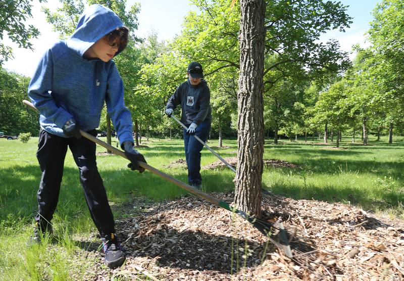 Milton Pope students Billy Staszak, and Ethan Green, spread mulch around a young Oak tree on Friday, May 23, 2025 near the Illinois Fallen Soldier Memorial at Illini State Park in Marseilles.