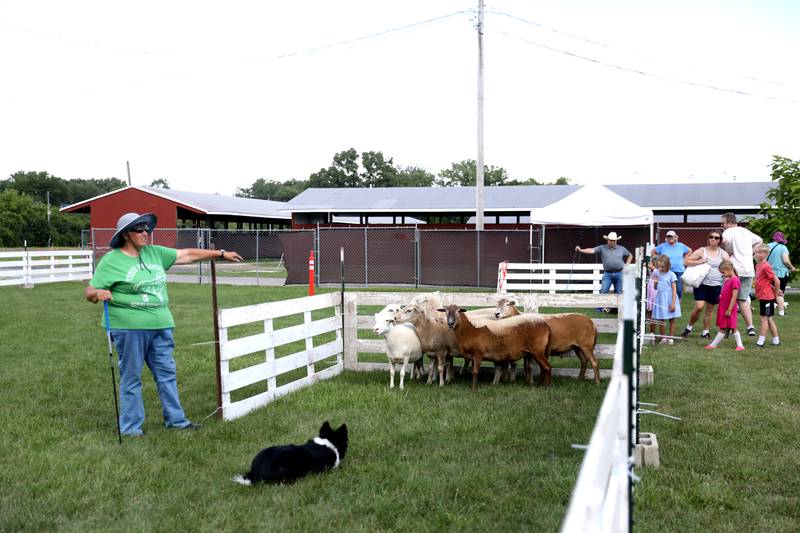 Photos DuPage County Fair in Wheaton Shaw Local
