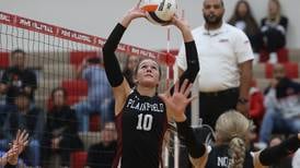 Girls volleyball: The 2023 Herald-News All-Area Team