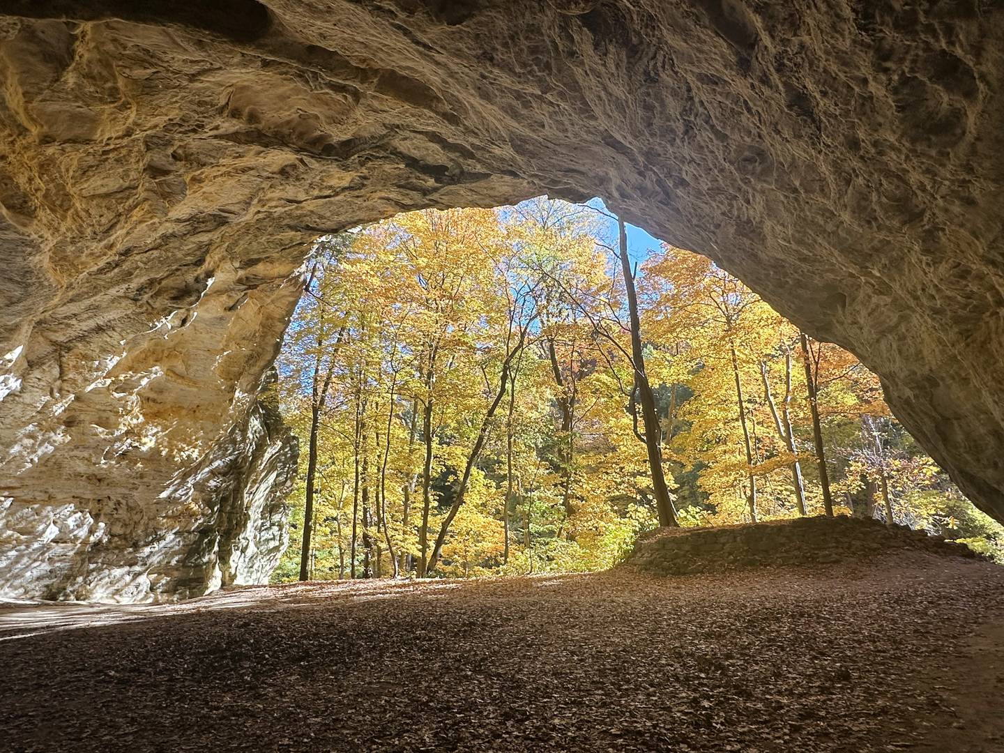 Trees begin to reach their peak at Council Overhang on Thursday, Oct. 24, 2024 at Starved Rock State Park.