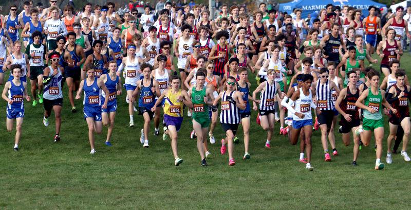 Runners begin a boys Class 2A Sectional Cross Country Meet at Emricson Park in Woodstock Saturday.