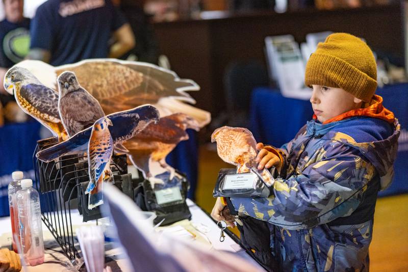 Jonan Watson, 6, tries on a weighted bird demo at the Illinois Beach State Park Hawk Watch table during Eagle Watch Weekend on January 24, 2026 at Starved Rock Lodge.