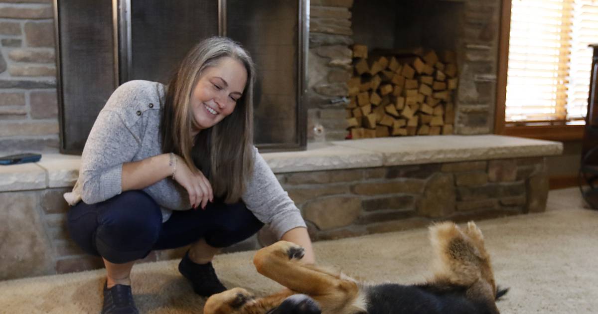 Ethical dog breeding? Crystal Lake nonprofit aims to make breeders more accountable, conscientious – Shaw Local
