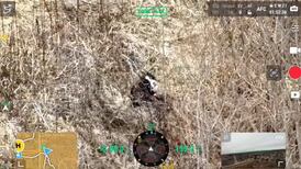 Thermal drone locates Charlie, a dog from Crystal Lake who was missing for a week