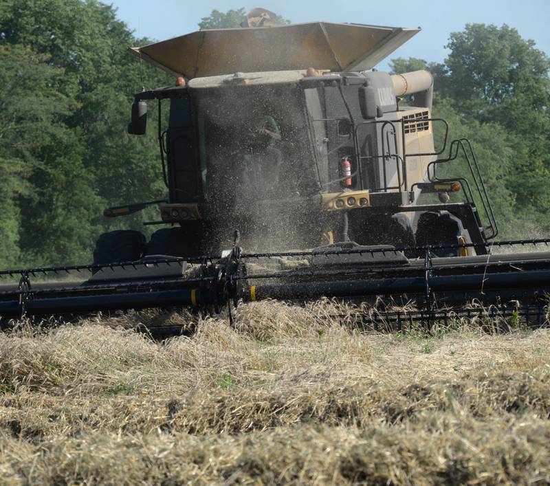 A combine picks a wheat field near Fulton on Friday, July 12, 2024. Hot, sunny weather prompted farmers to hit the fields to bring in the winter wheat crop.