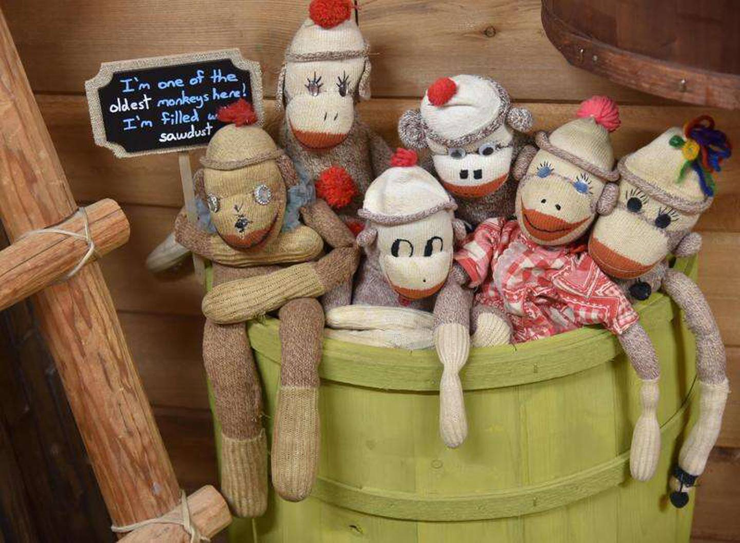 A sock monkey filled with sawdust from the 1930s is one of the oldest at the Sock Monkey Museum in Long Grove. The museum has been recognized as having the world's largest handmade sock monkey collection.