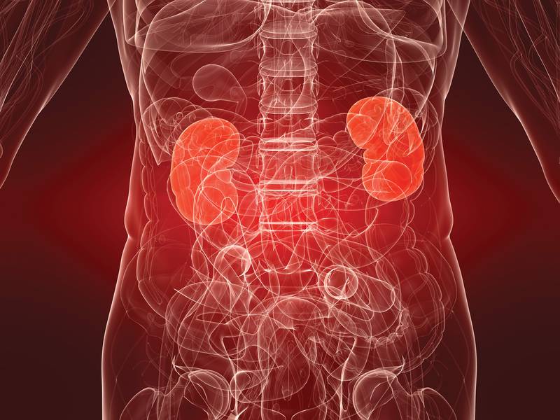 Wallace Center for Hearing - 3 Things To Know About Kidney Disease and Hearing Loss