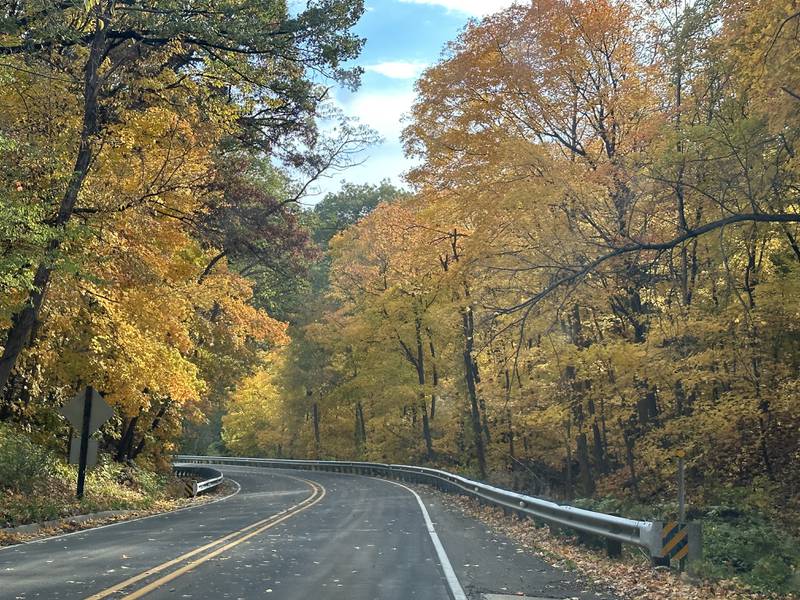 A view of the fall colors along Route 71 on Monday, Oct. 23, 2023 at Starved Rock State Park.