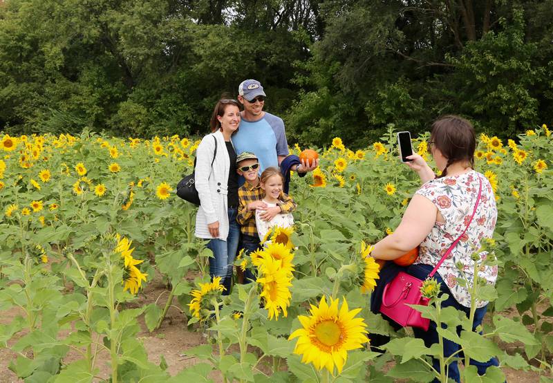 The Volkening Family (Michelle, Adam, Owen and Addison) pose for a photo taken by Leah Higgenson at Kuiper’s Pumpkin Farm and Apple Orchard in Maple Park on Saturday, Sept. 24, 2022.