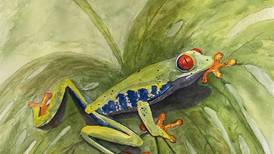 Art of Giving to feature DeKalb, Sycamore High School student art at KVAL