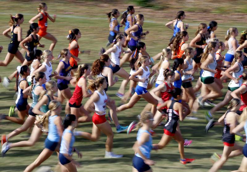The start of the girls varsity race during the IHSA Class 3A Lake Park cross country sectional  Saturday, Nov. 2, 2024 in Roselle.