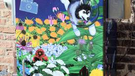 DeKalb city soliciting painters to help beautify utility boxes