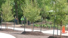 Peace Park could open in DeKalb this fall